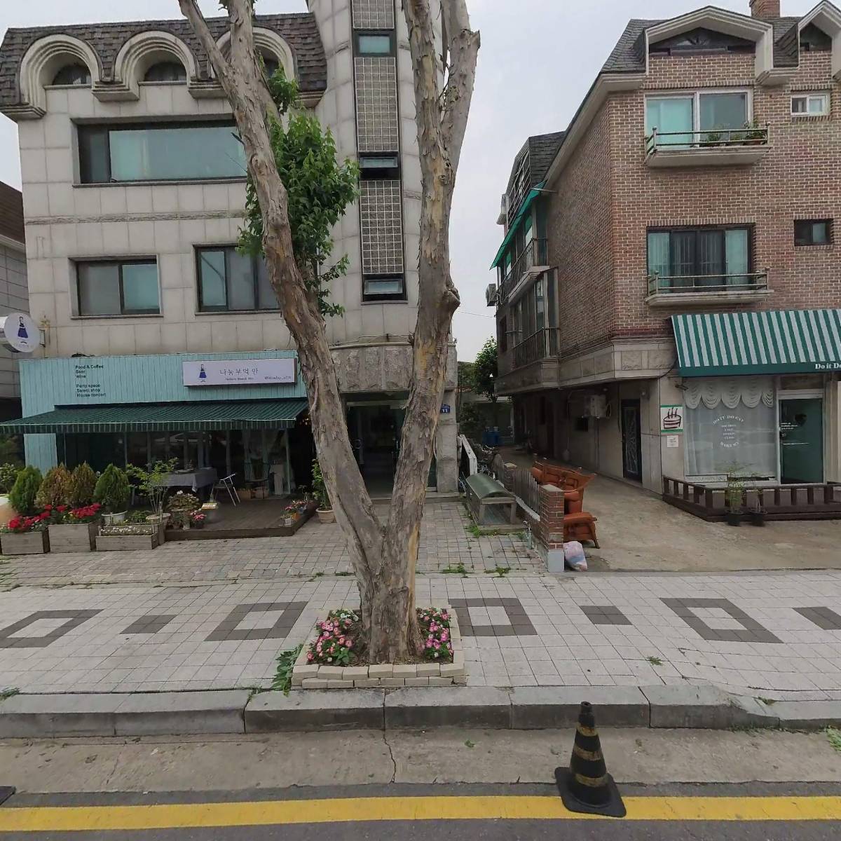 아녹 플라워