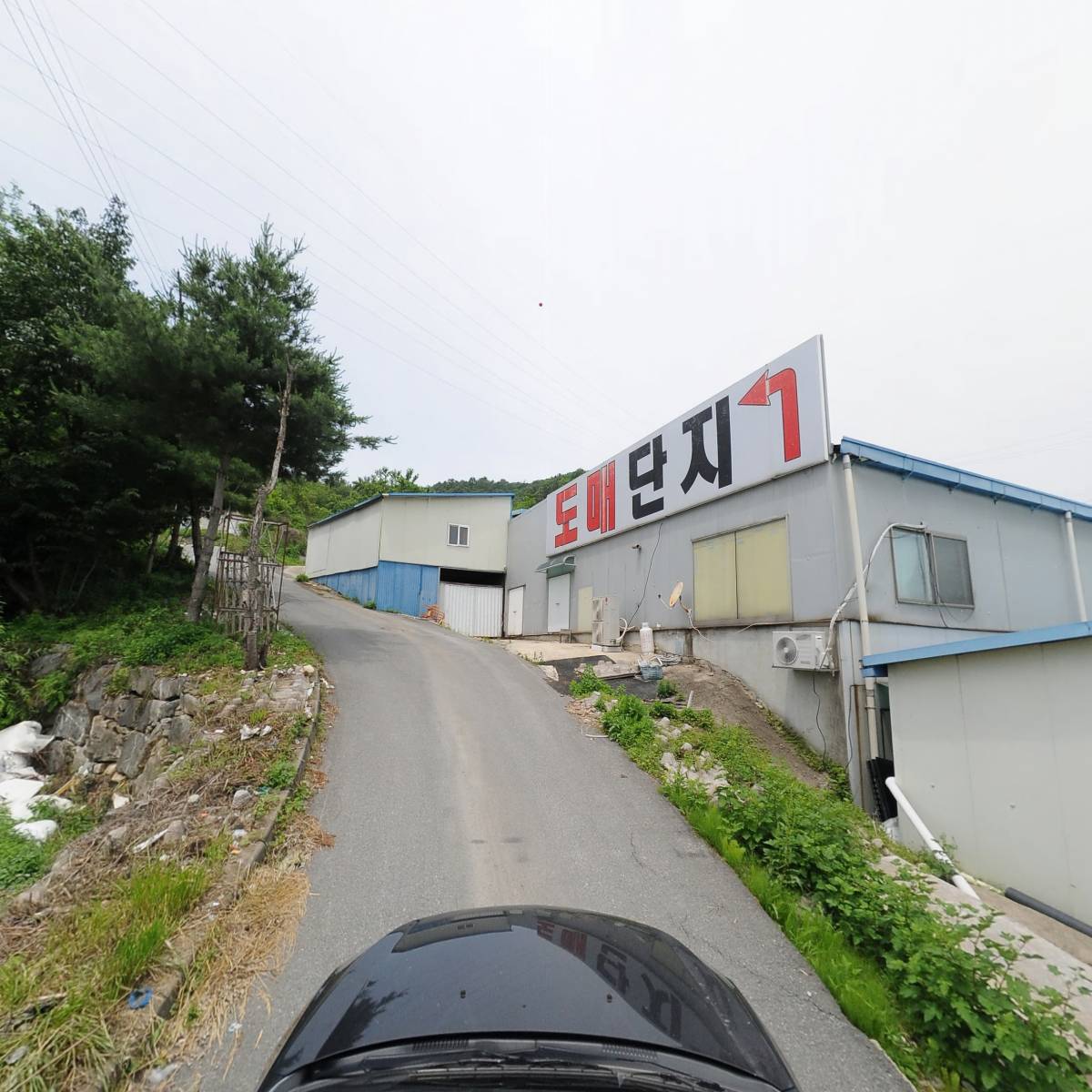 다르지(DARGE)_4
