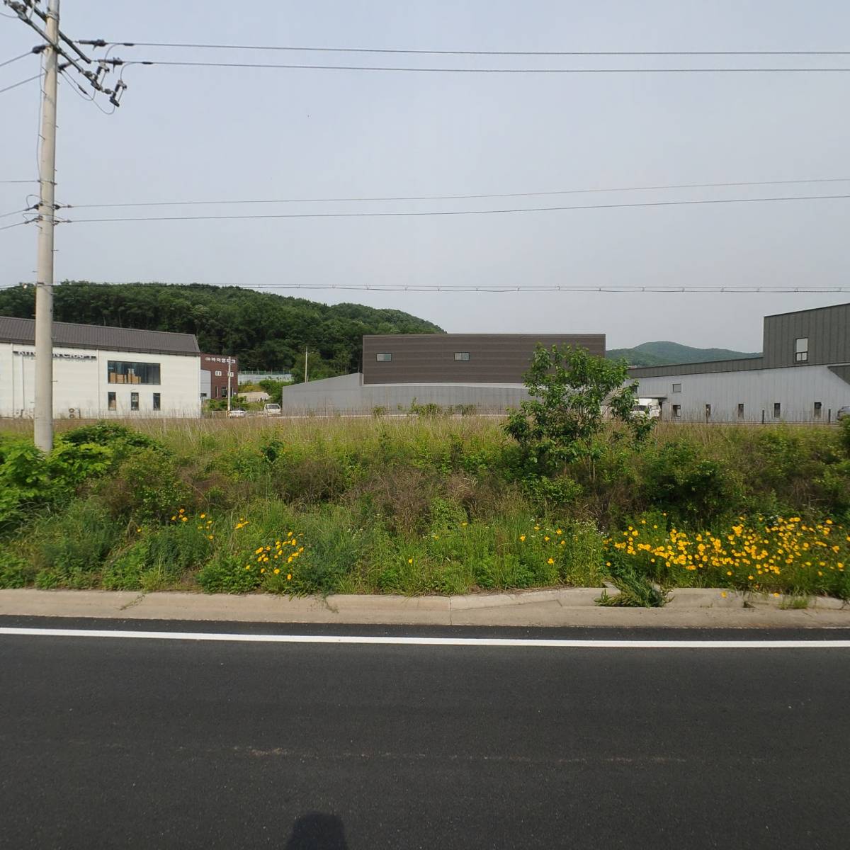 쩡스 아동복_3
