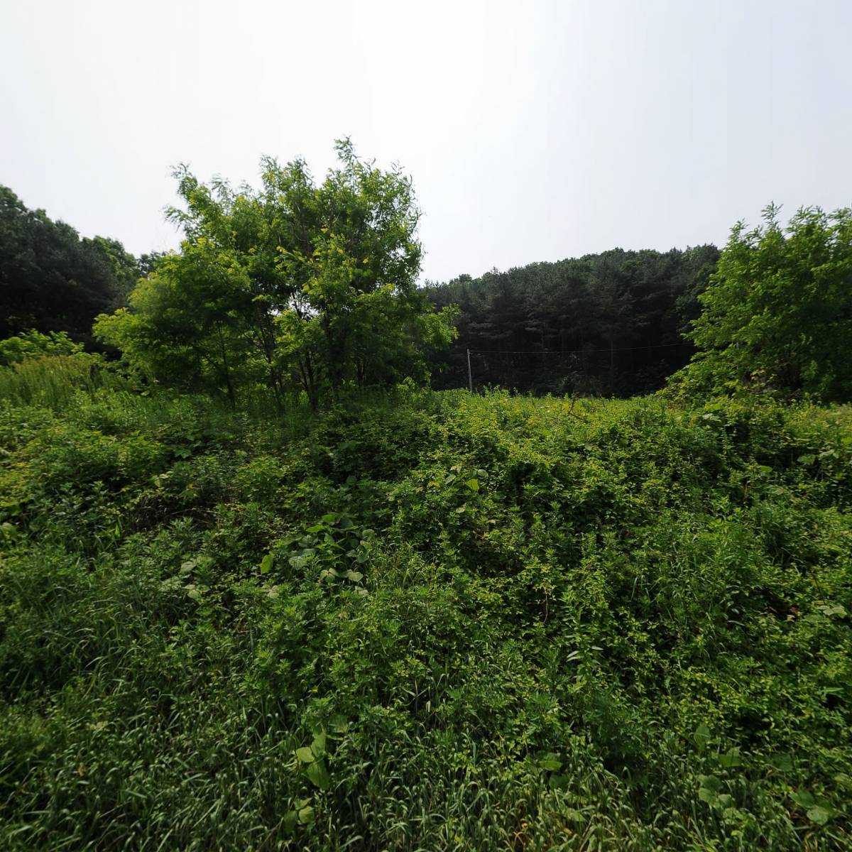 （주）에이원서울유통