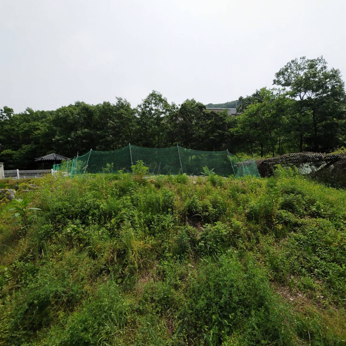 주식회사 도약