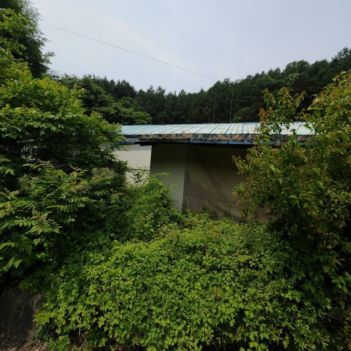 주식회사 도약_3