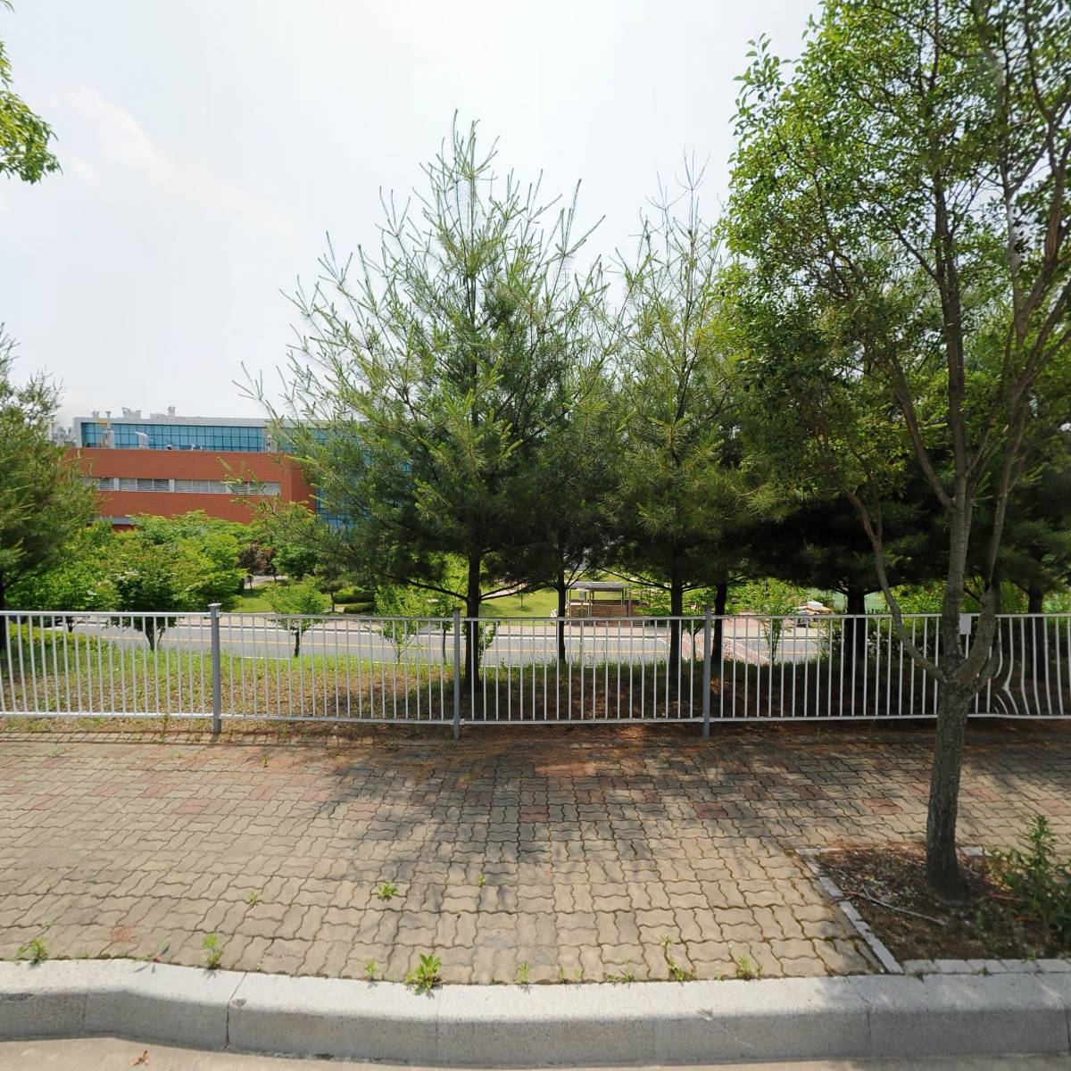 바디듀