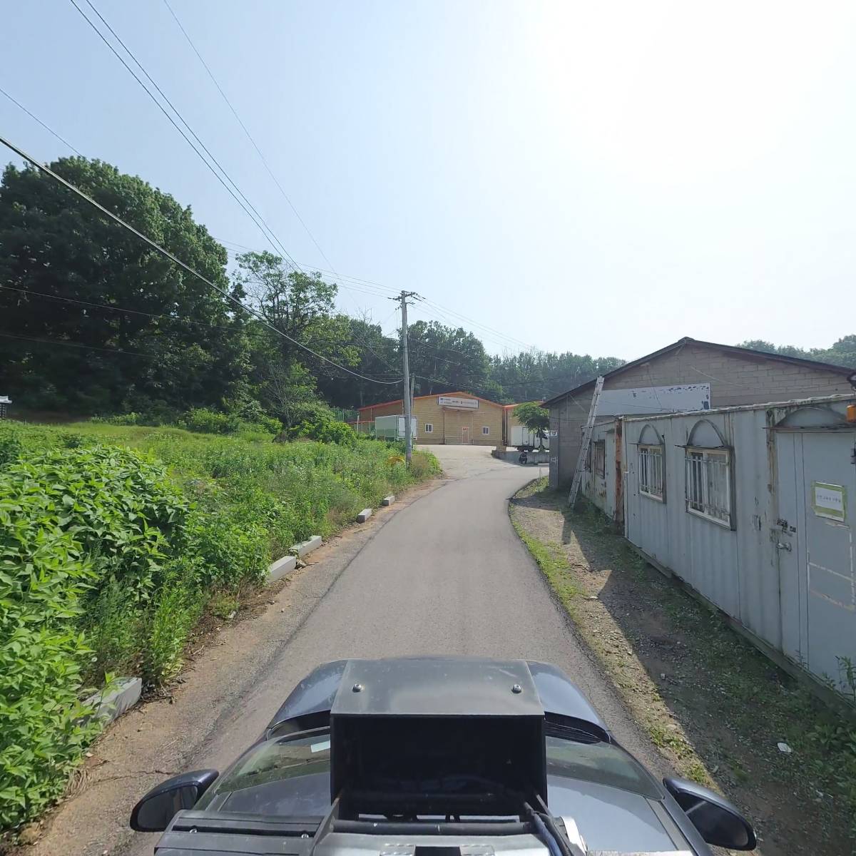 한국레즈본_4