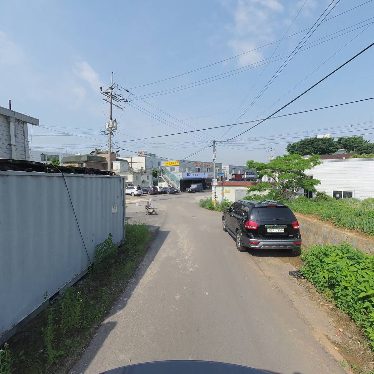 한국레즈본_2