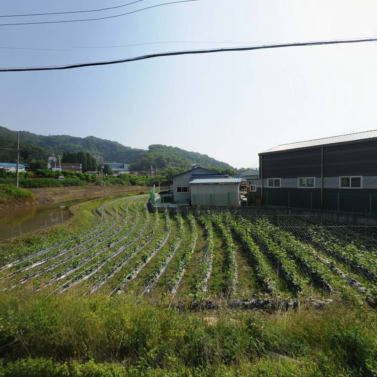 동원양봉원