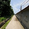 오스트그레인_2