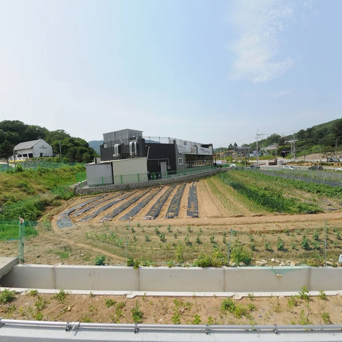 고향보리밥