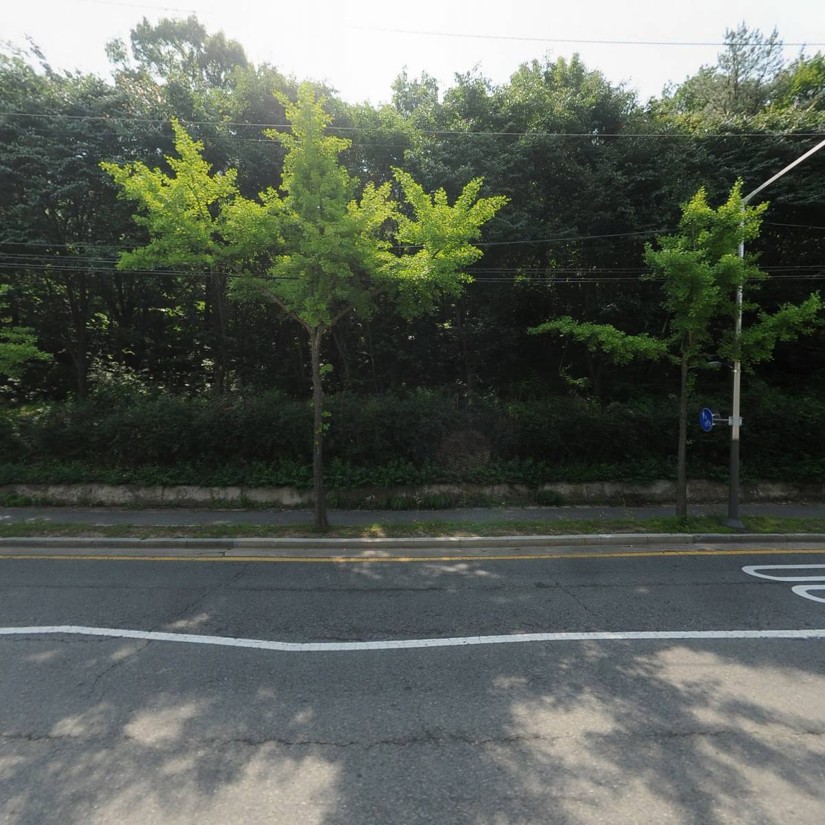 주식회사 템포레스트_3