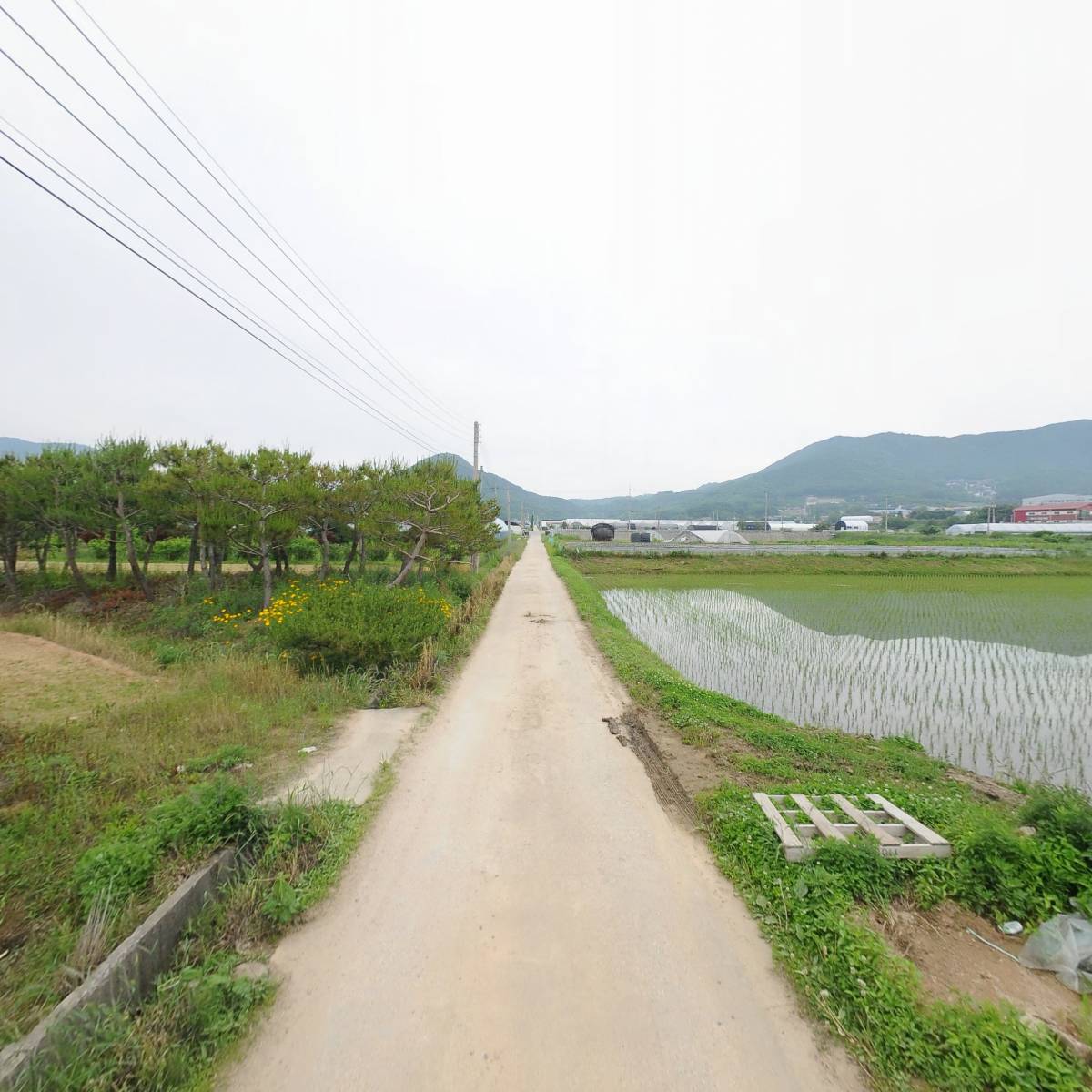 지산화훼_2