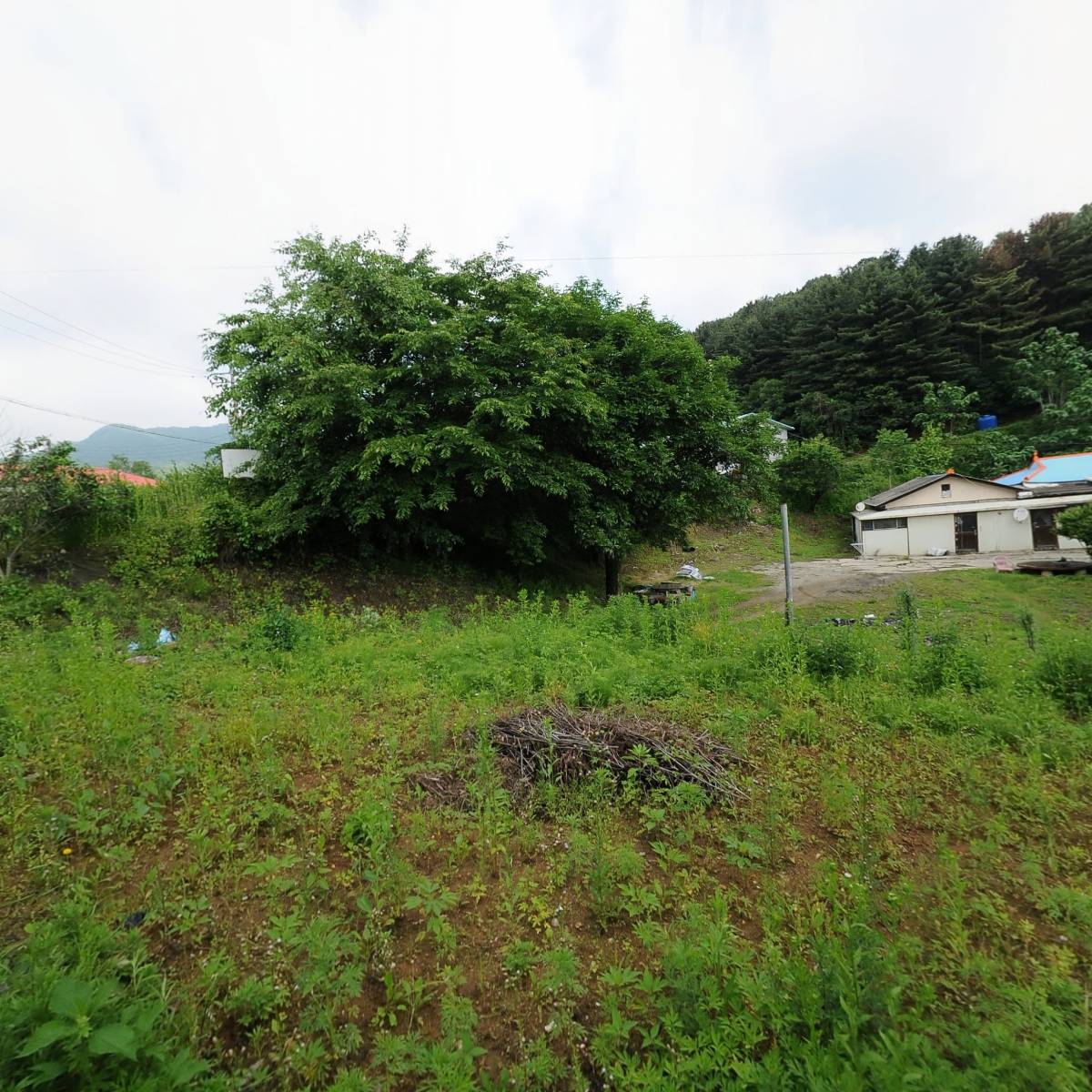 삼정보온대리석