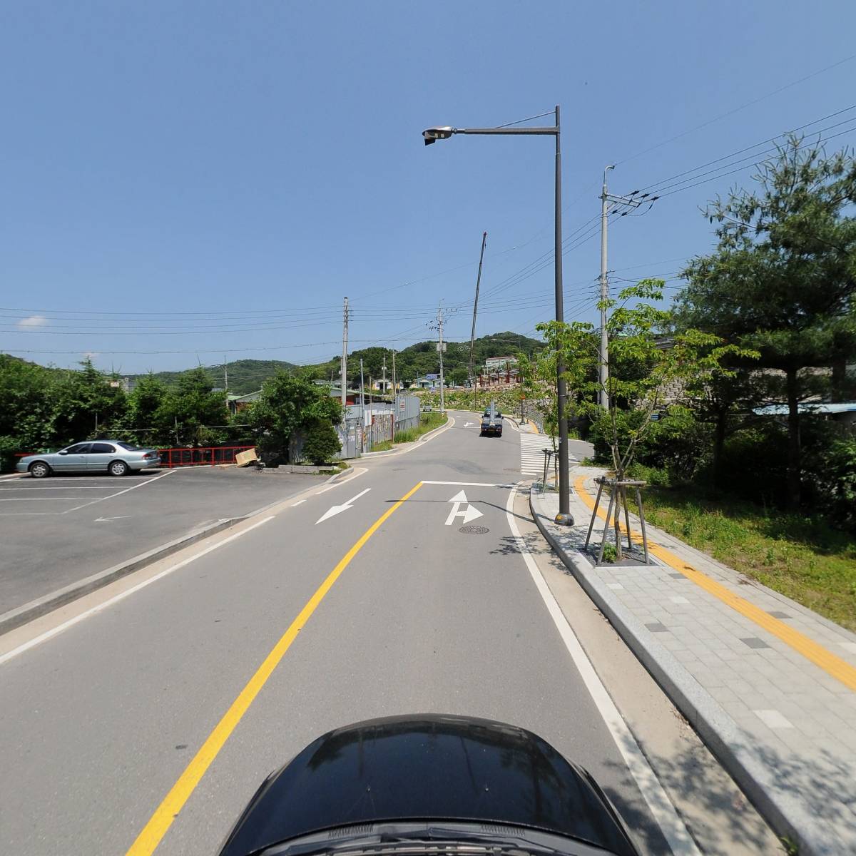 채심촌 산약초_4