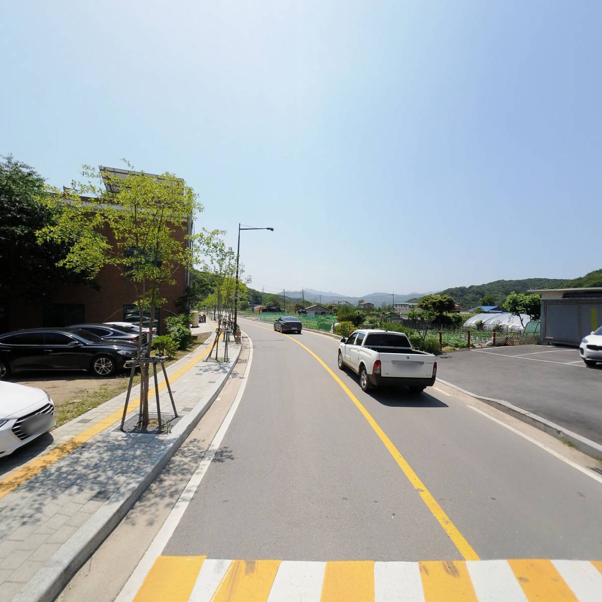 채심촌 산약초_2