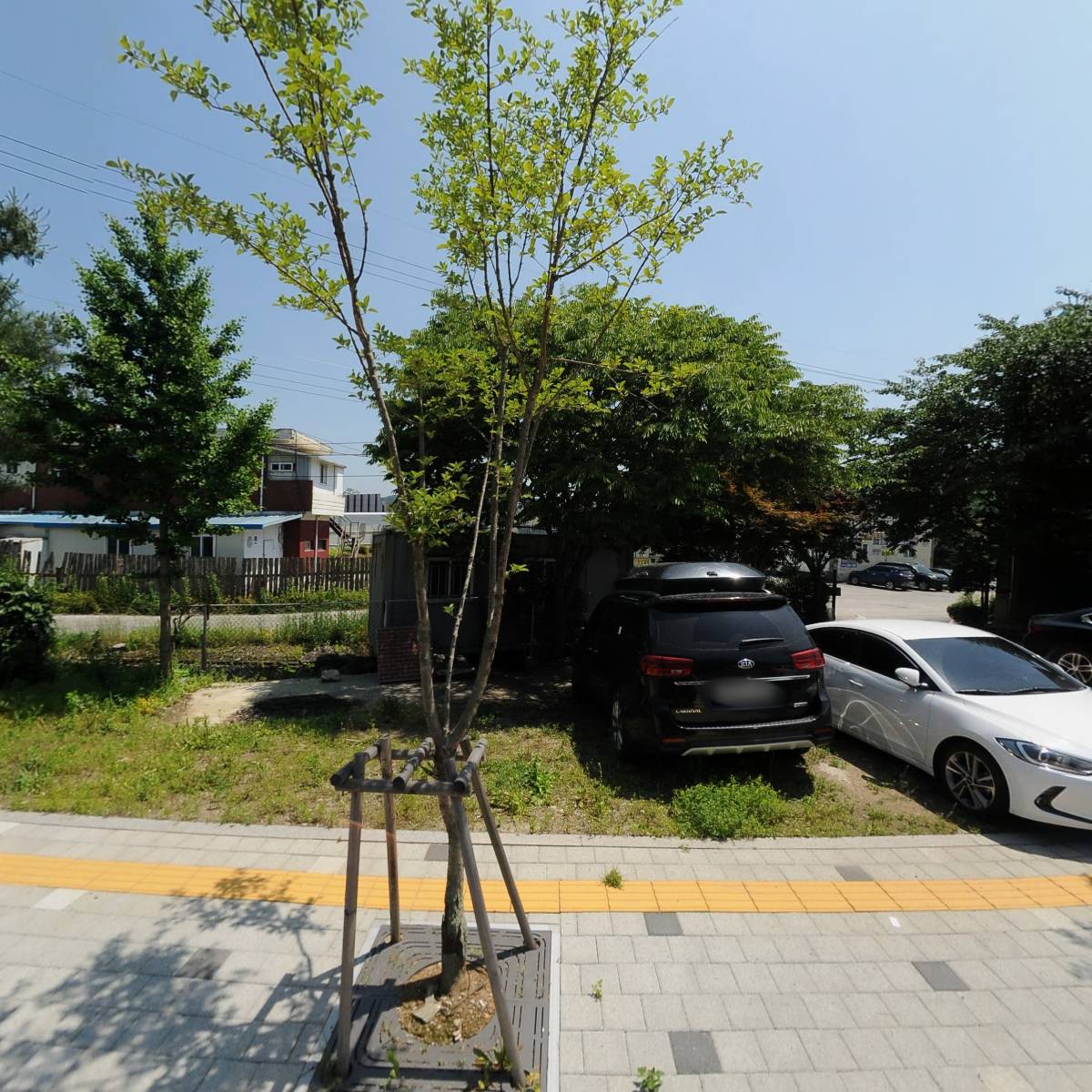 채심촌 산약초