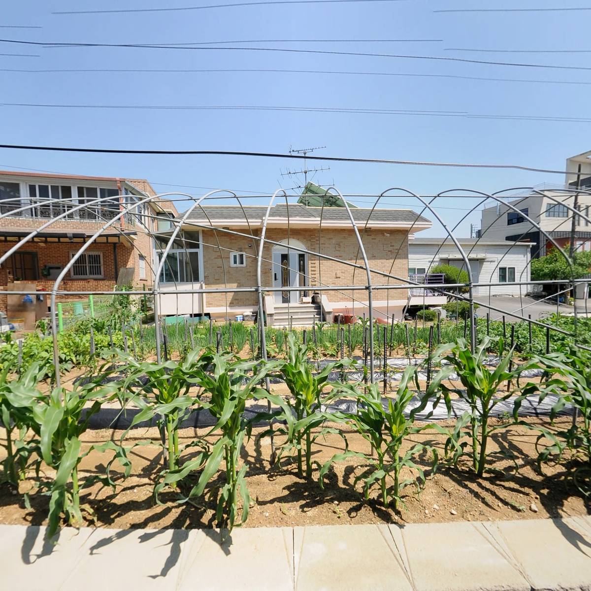 (주)앤네이처인터내셔널_3
