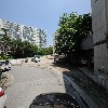 플레리 헤어숲_4