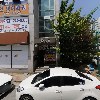 플레리 헤어숲_3
