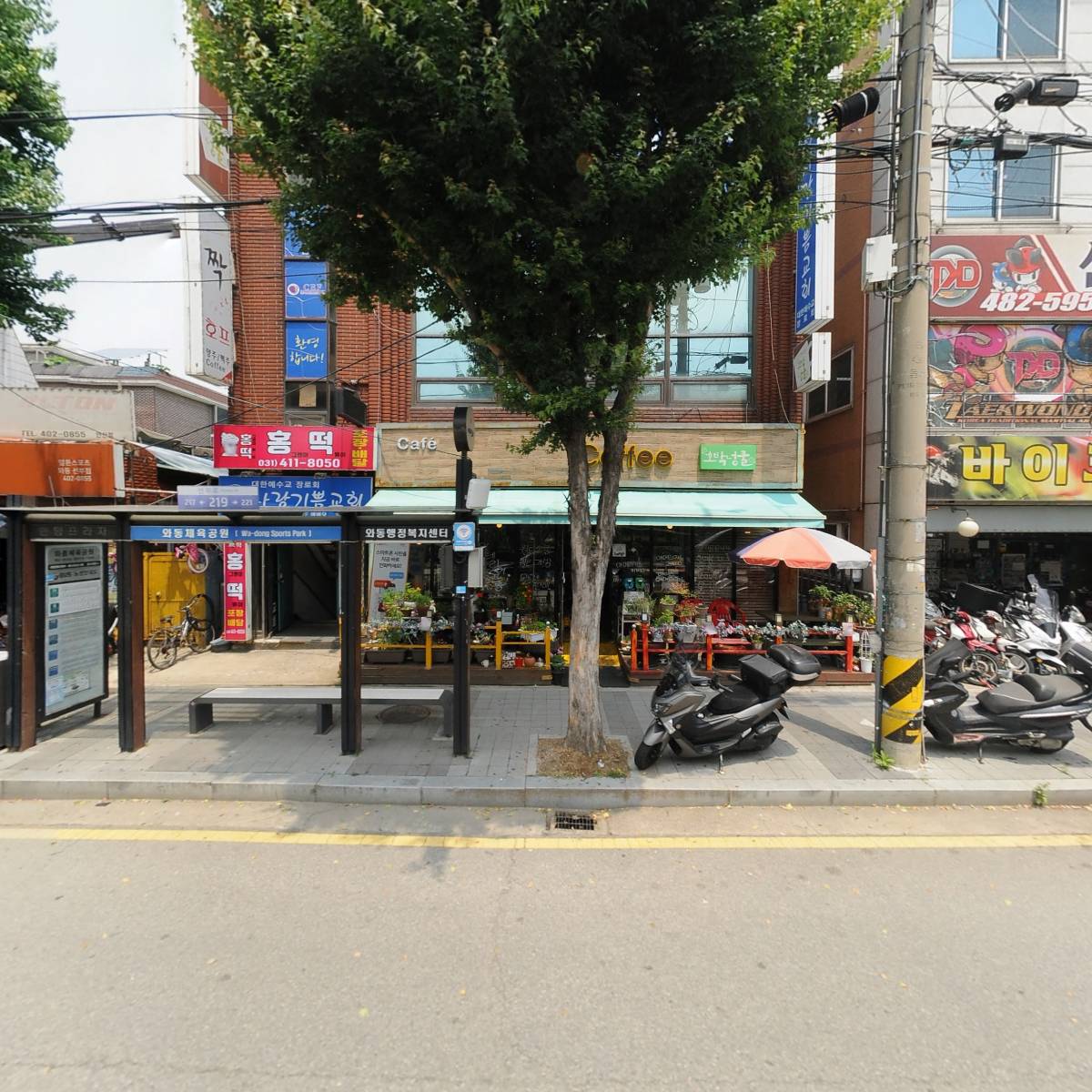 딱따구리
