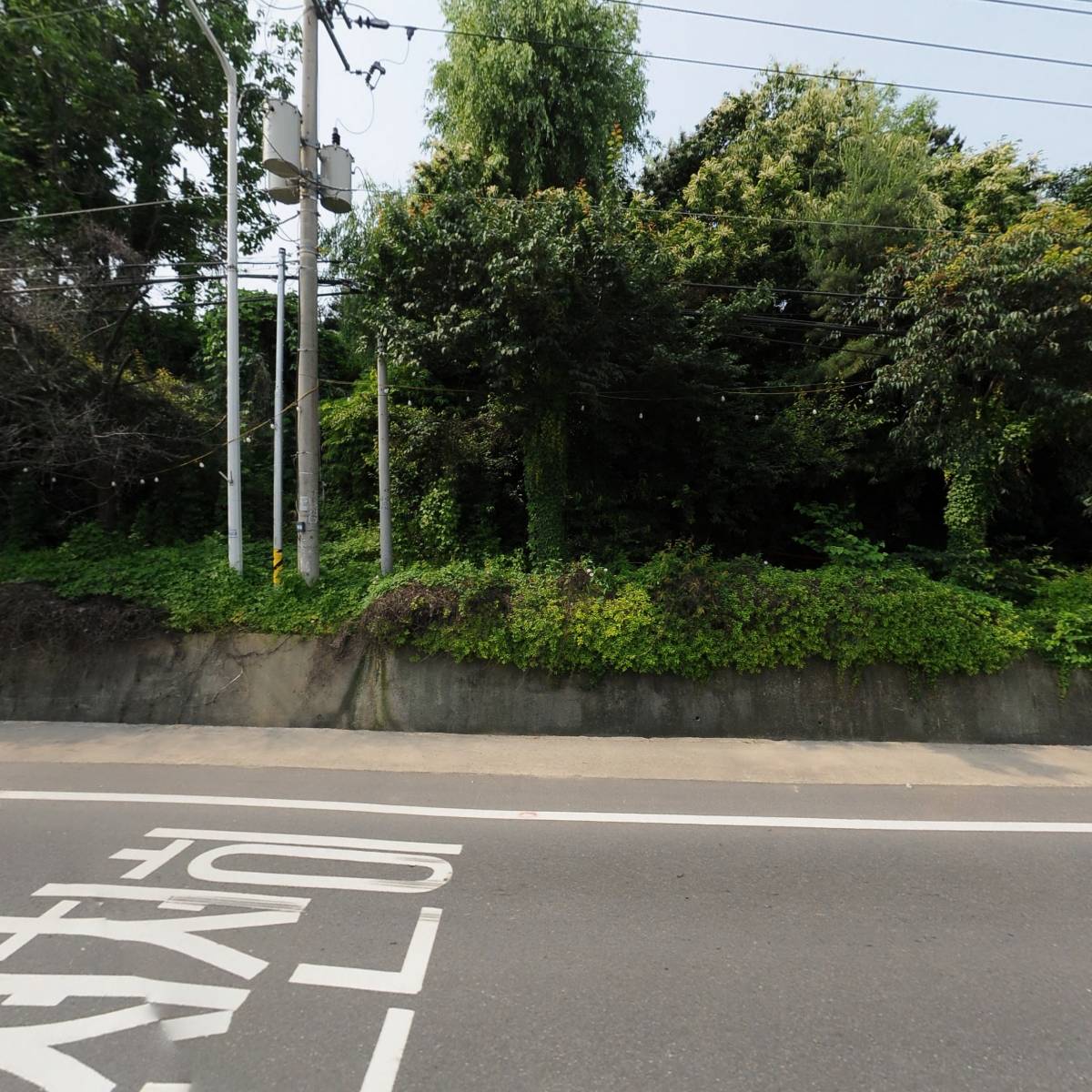 （주） 캐씨 보현인터내셔날
