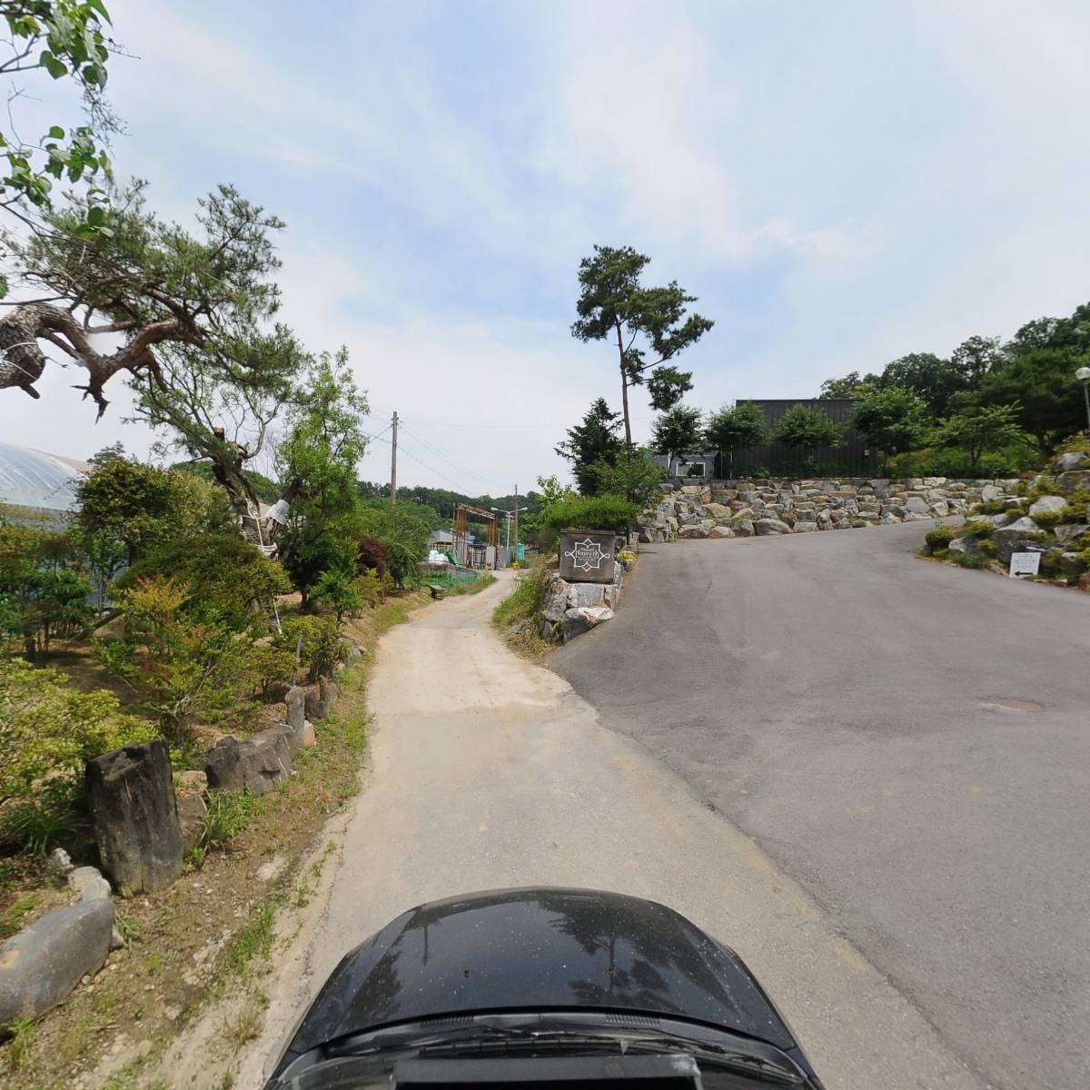 메리앤웨딩_4