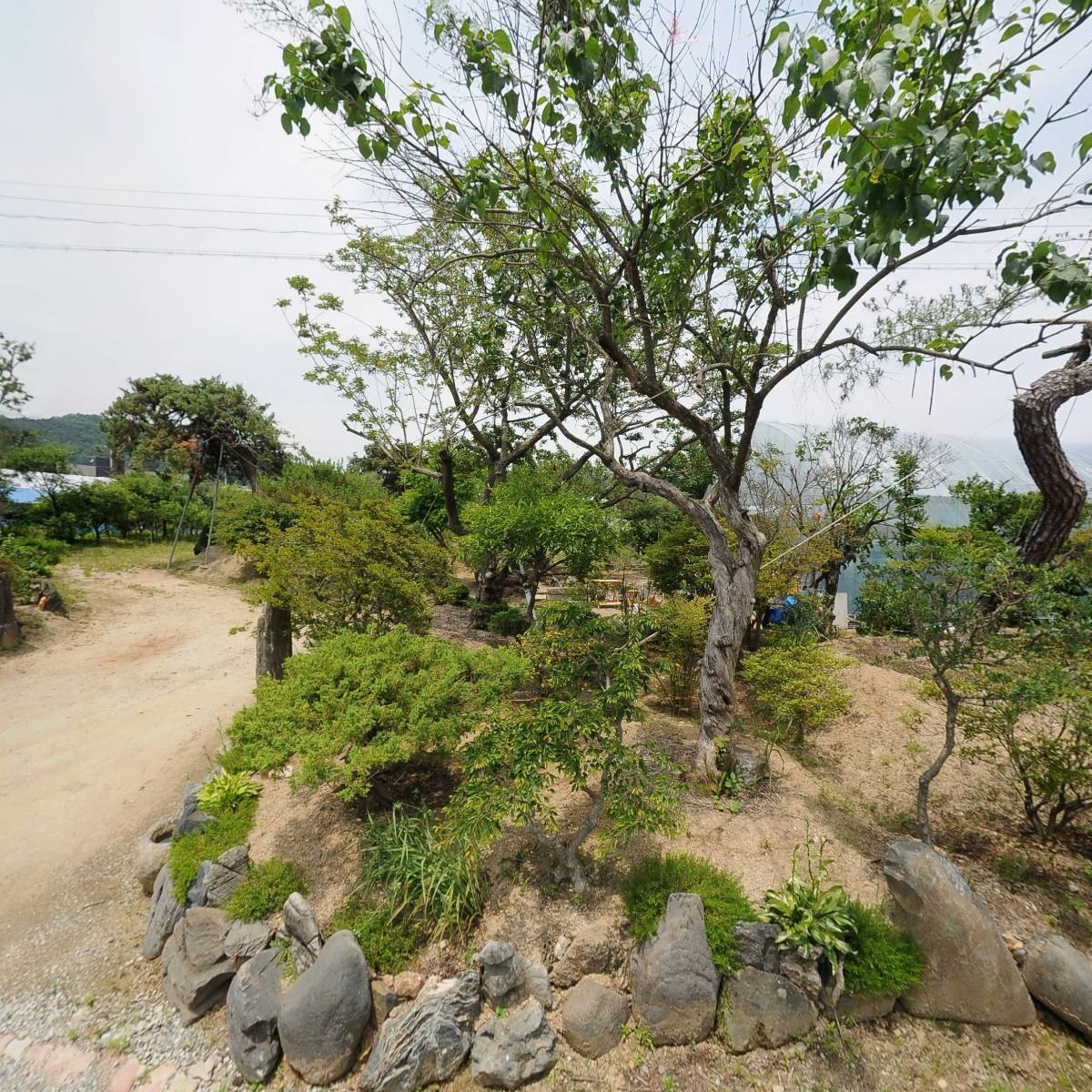 메리앤웨딩_3