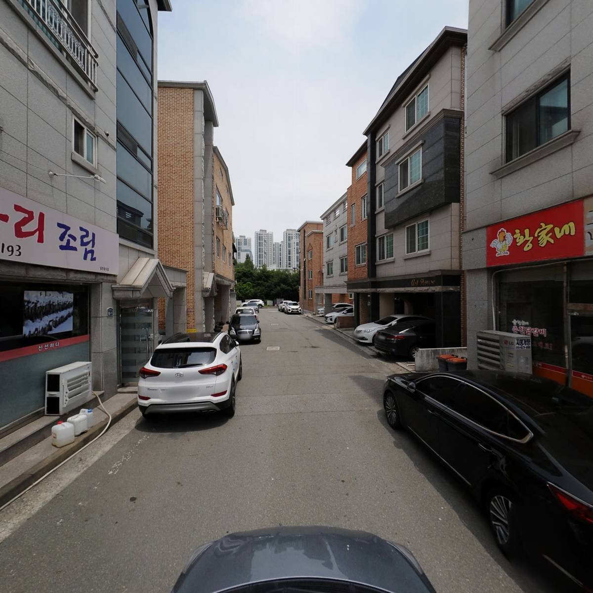 황제코다리_4