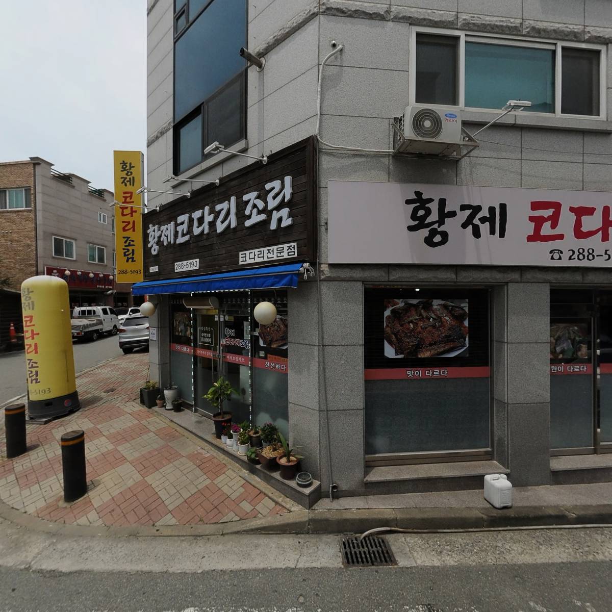 황제코다리_3
