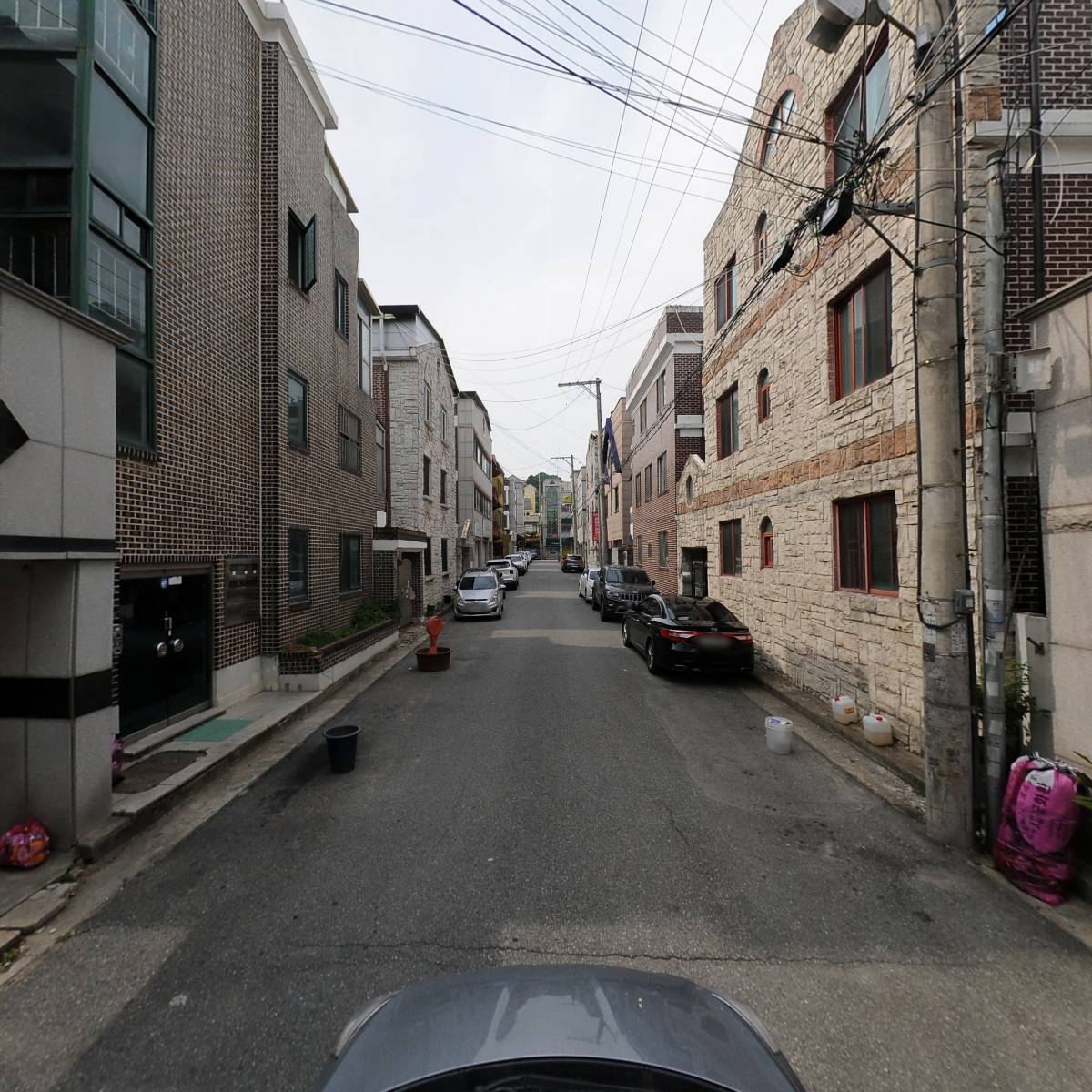 담상_4
