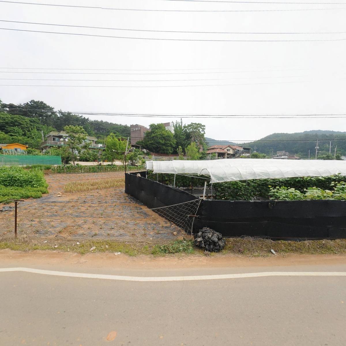 치유영농개발 주식회사_3