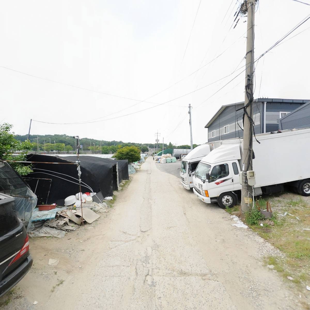 주식회사 도밍고_2