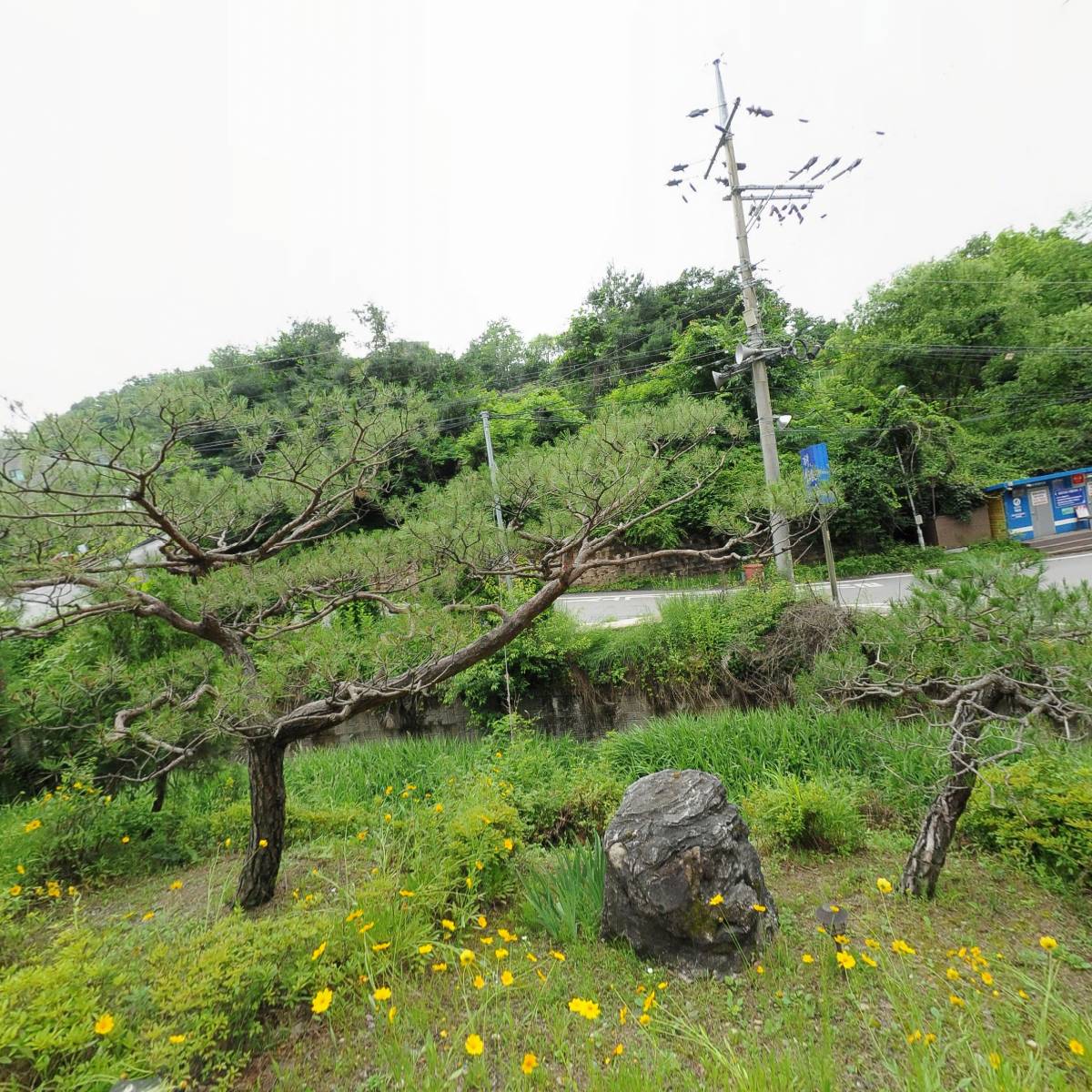 주식회사 헤세드컨설팅