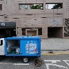 드래곤플라이