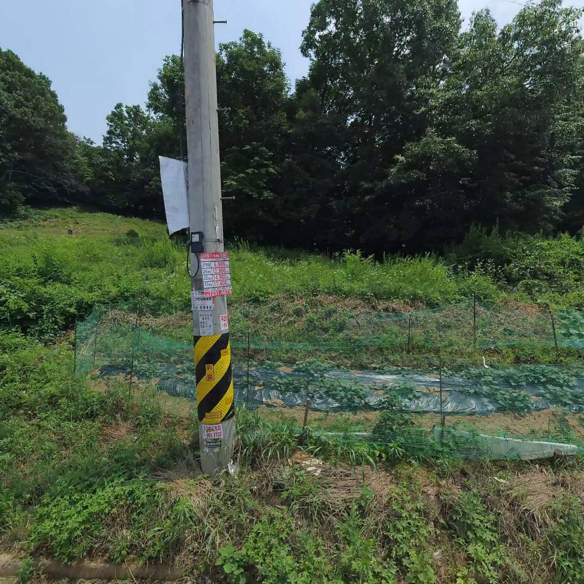 레드 모터스