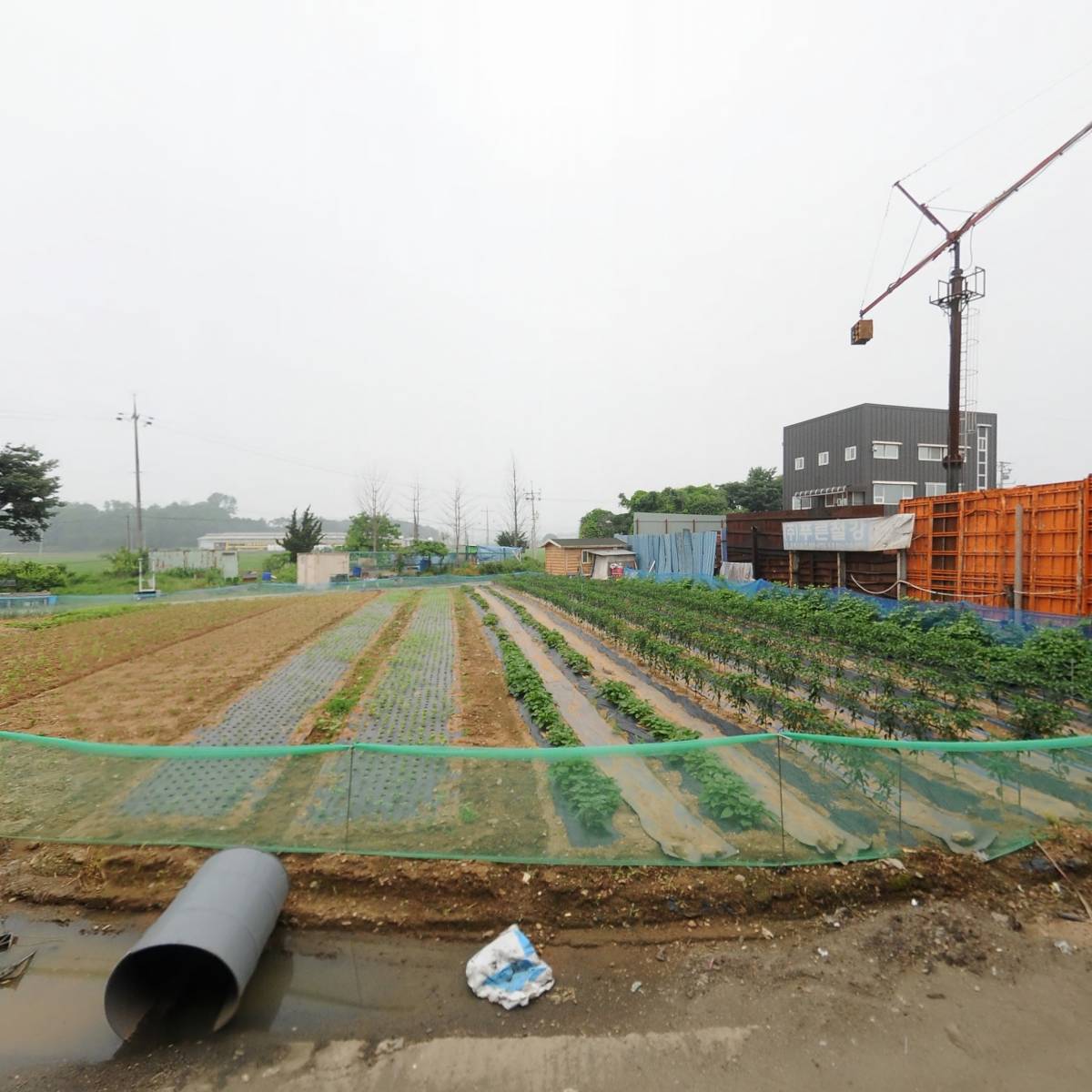 (주)더넥스트카고텍_3