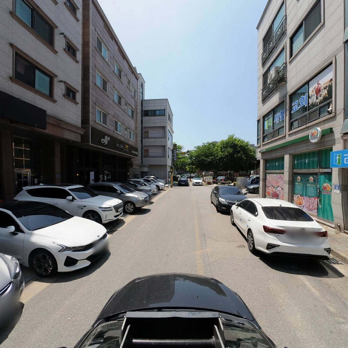 퍼피당강아지 안산본점_4