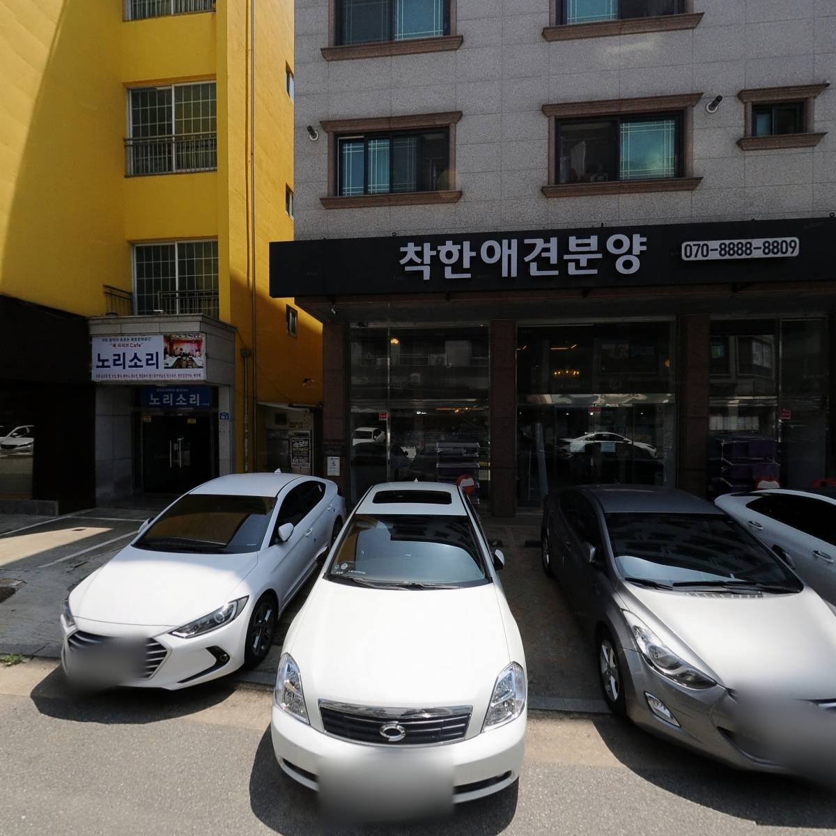 퍼피당강아지 안산본점_3