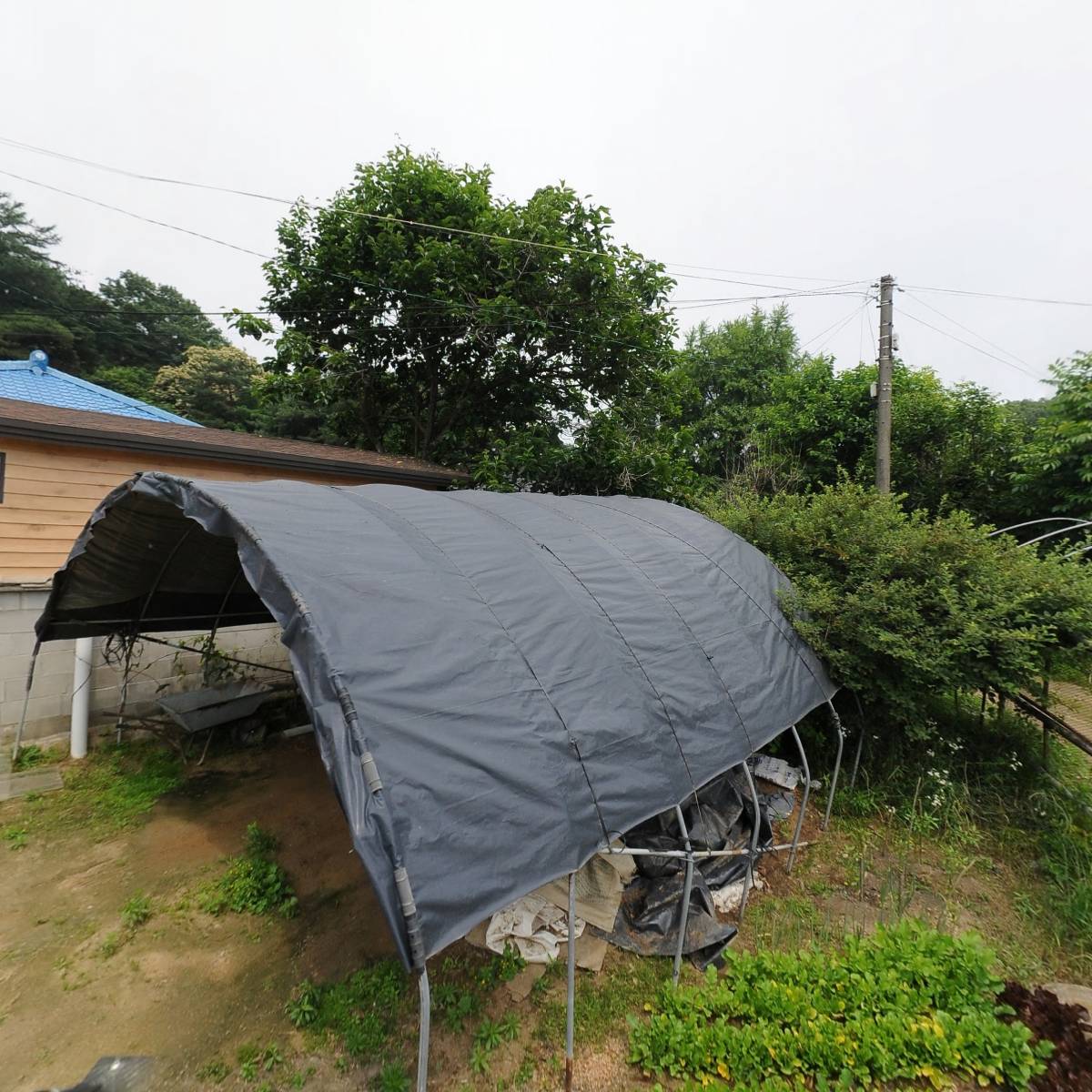 인동장씨문충공파문중