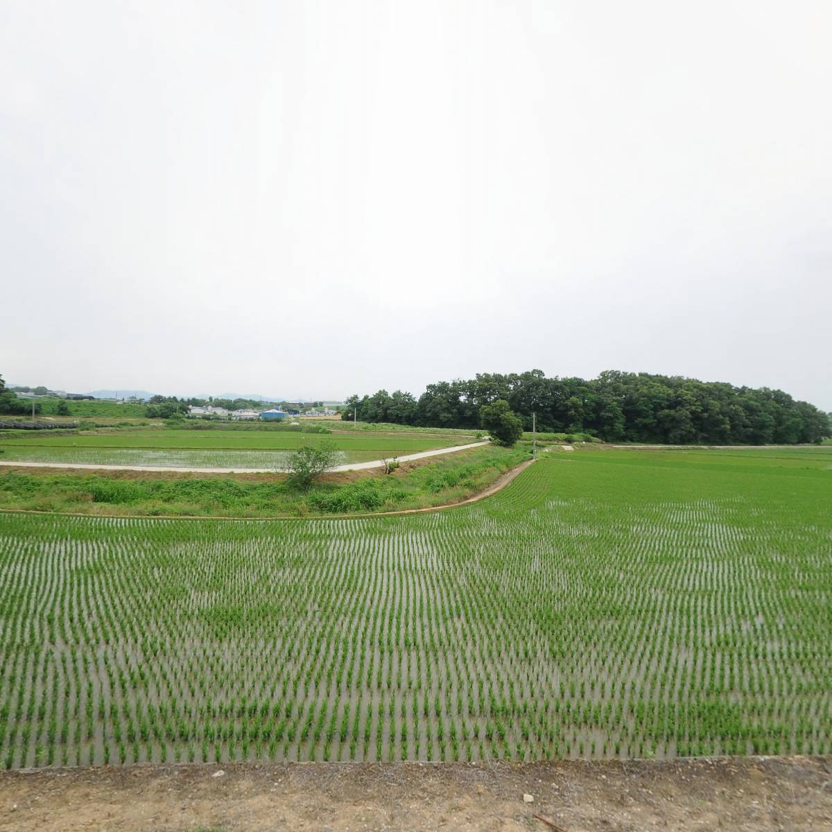 （주）신우제재