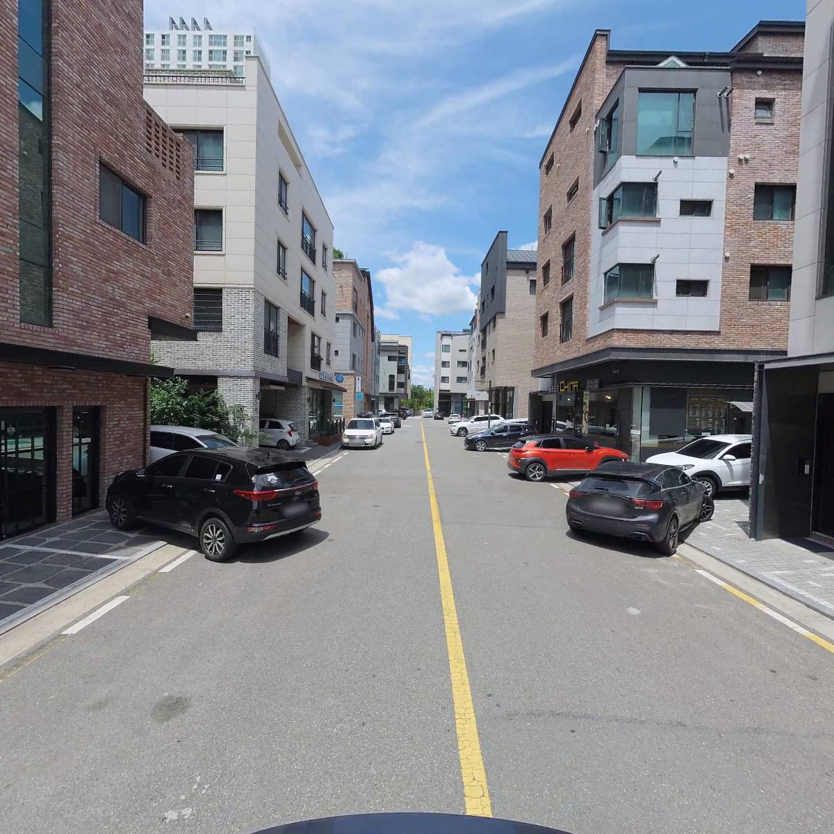 할리(Harly)_2