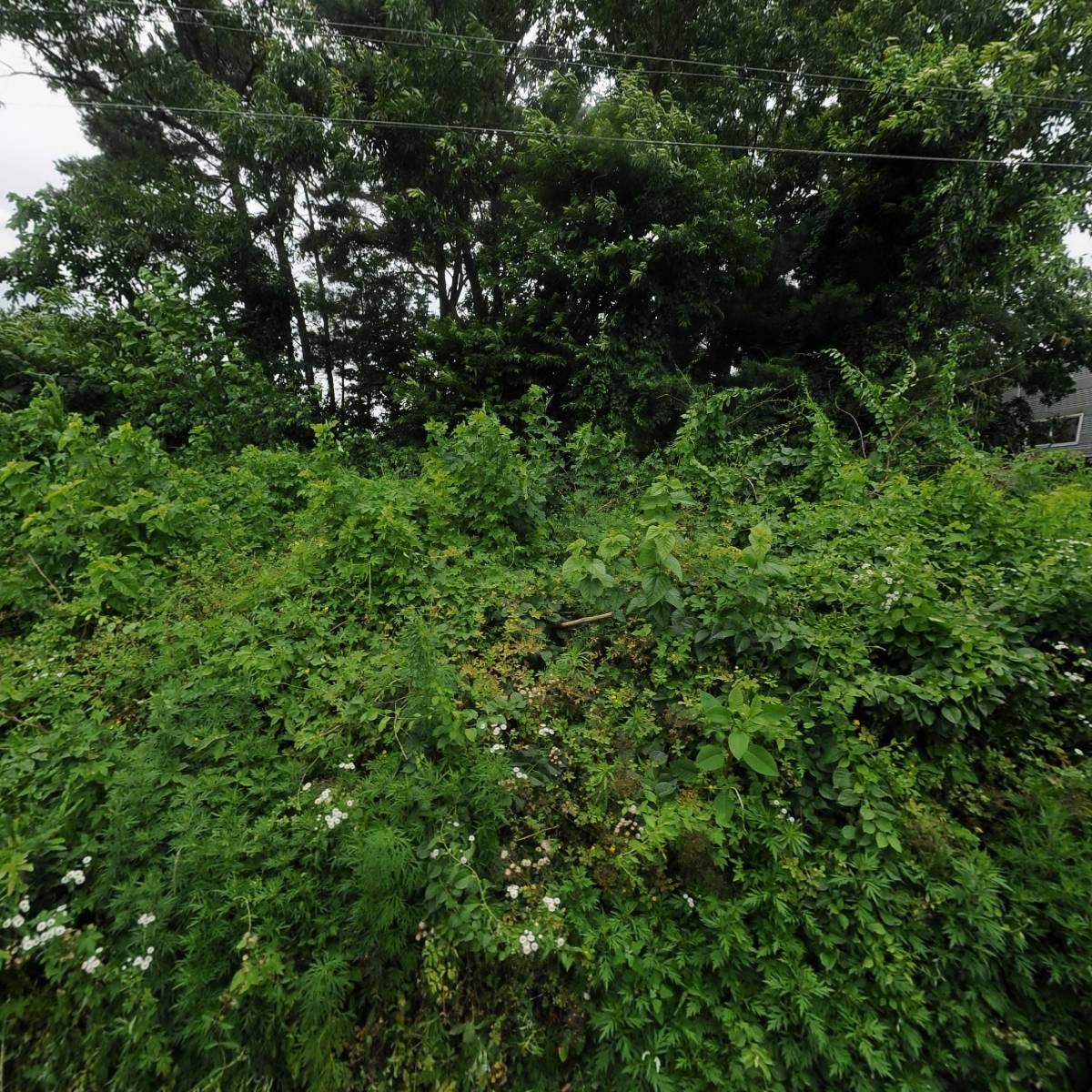 이레산업_3