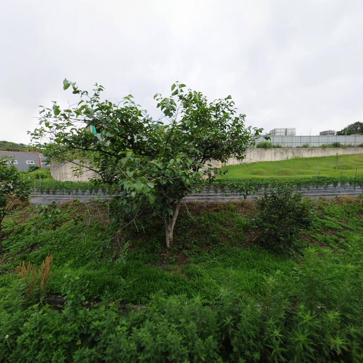 서영ENG