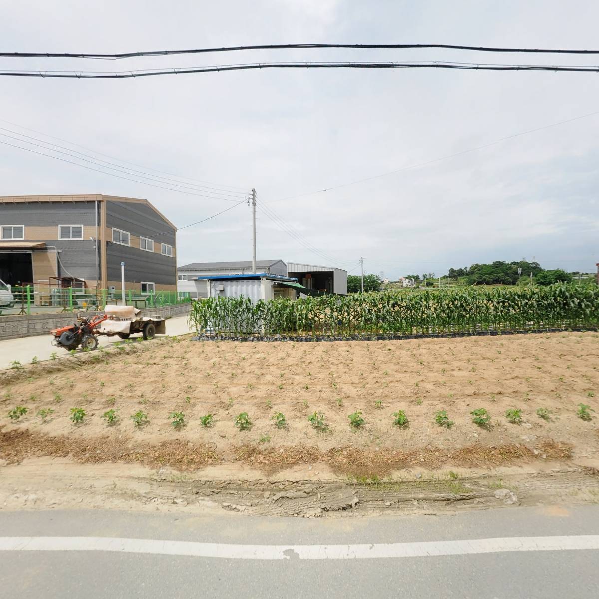 나린_3