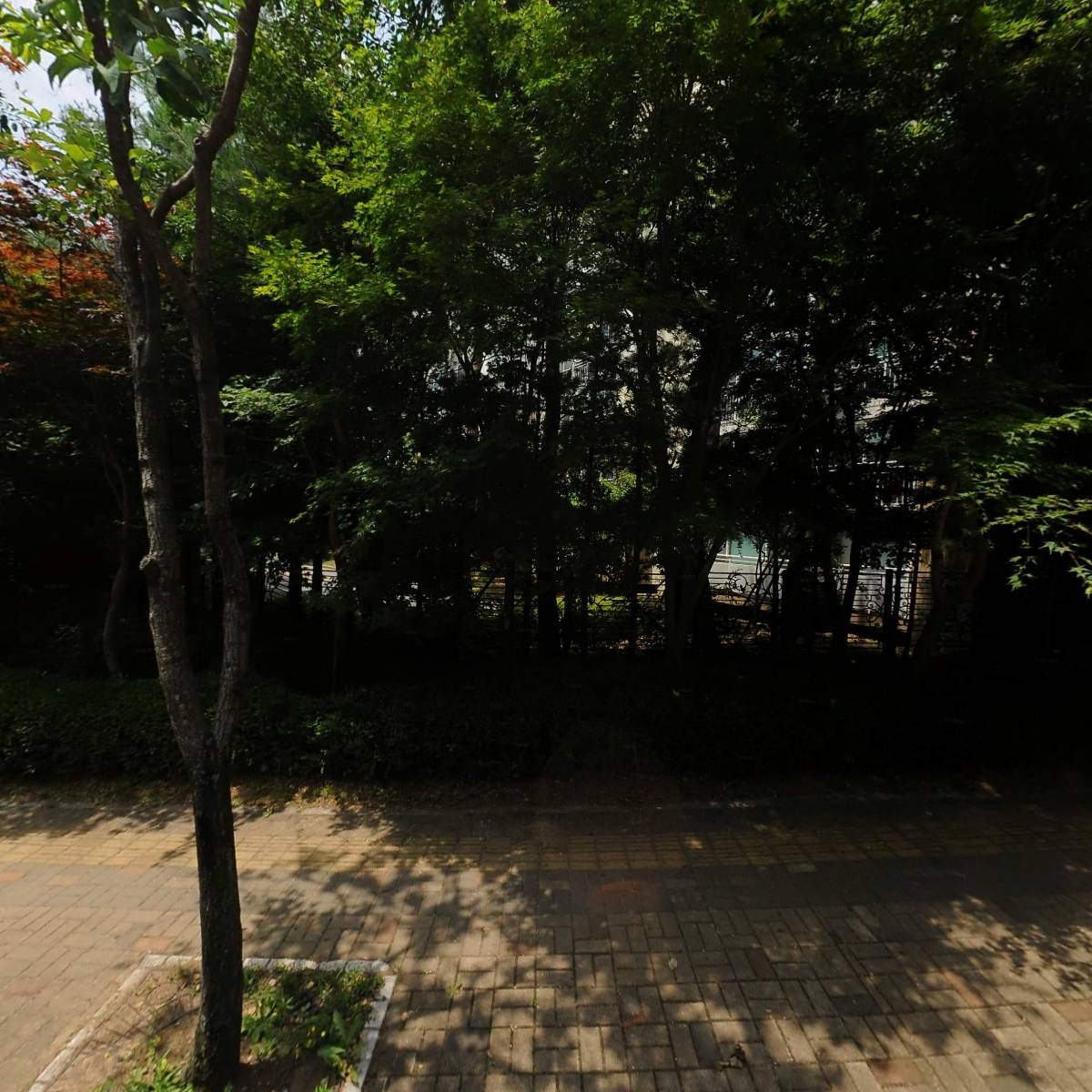 보스톤아름다운치과