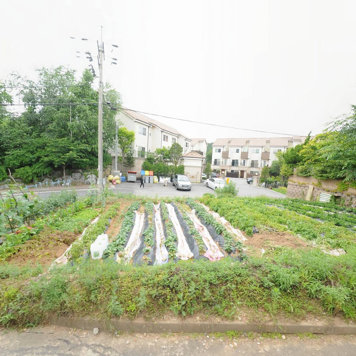 주식회사 에브리띵스마일