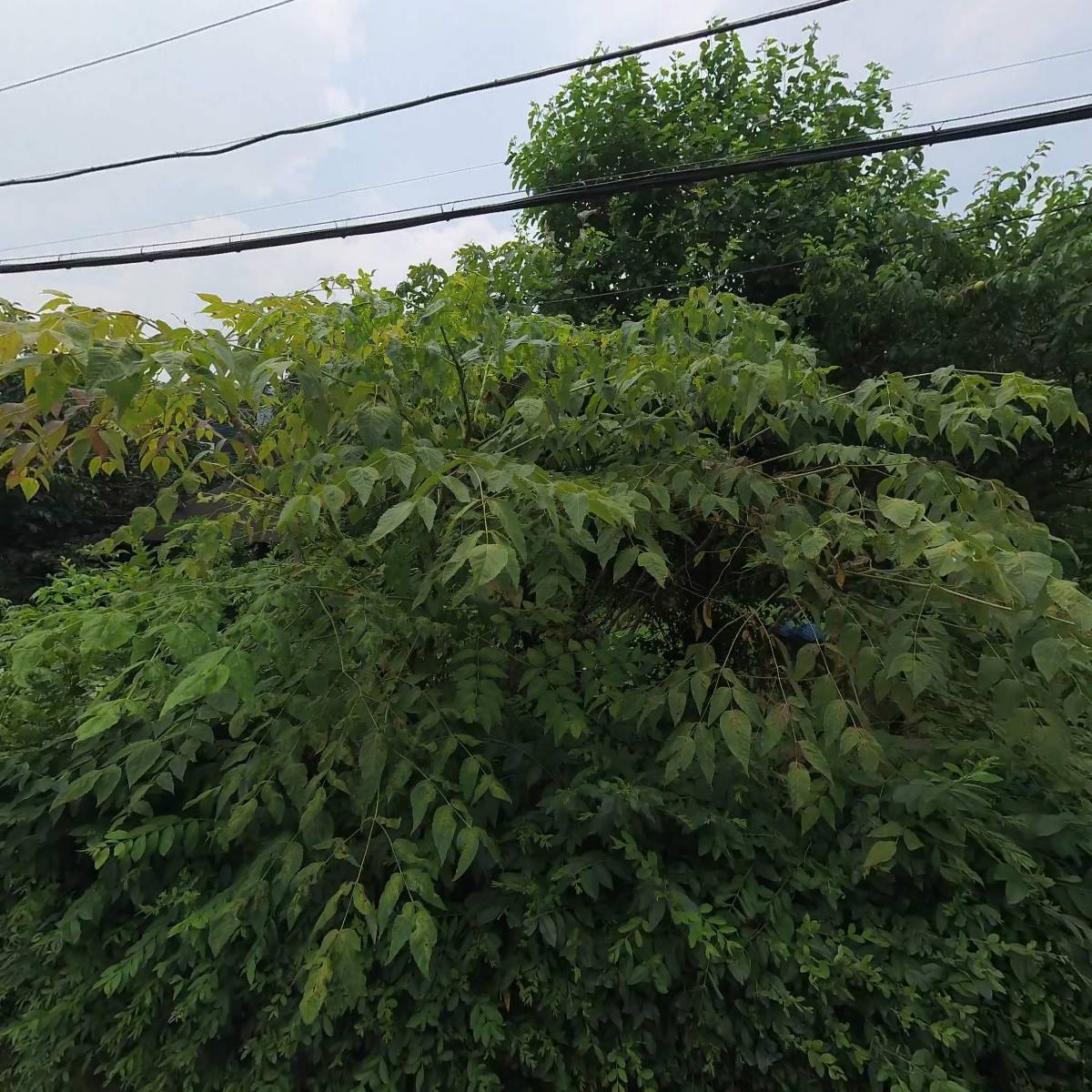 주식회사 디피엠로지스틱스_3