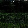 제타솔루션
