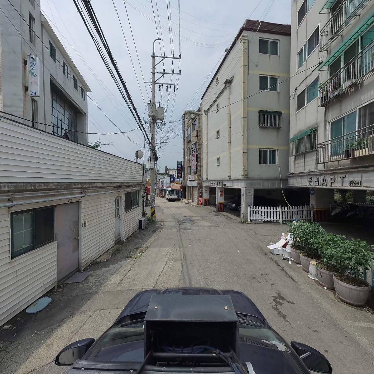 로이코스메틱_4