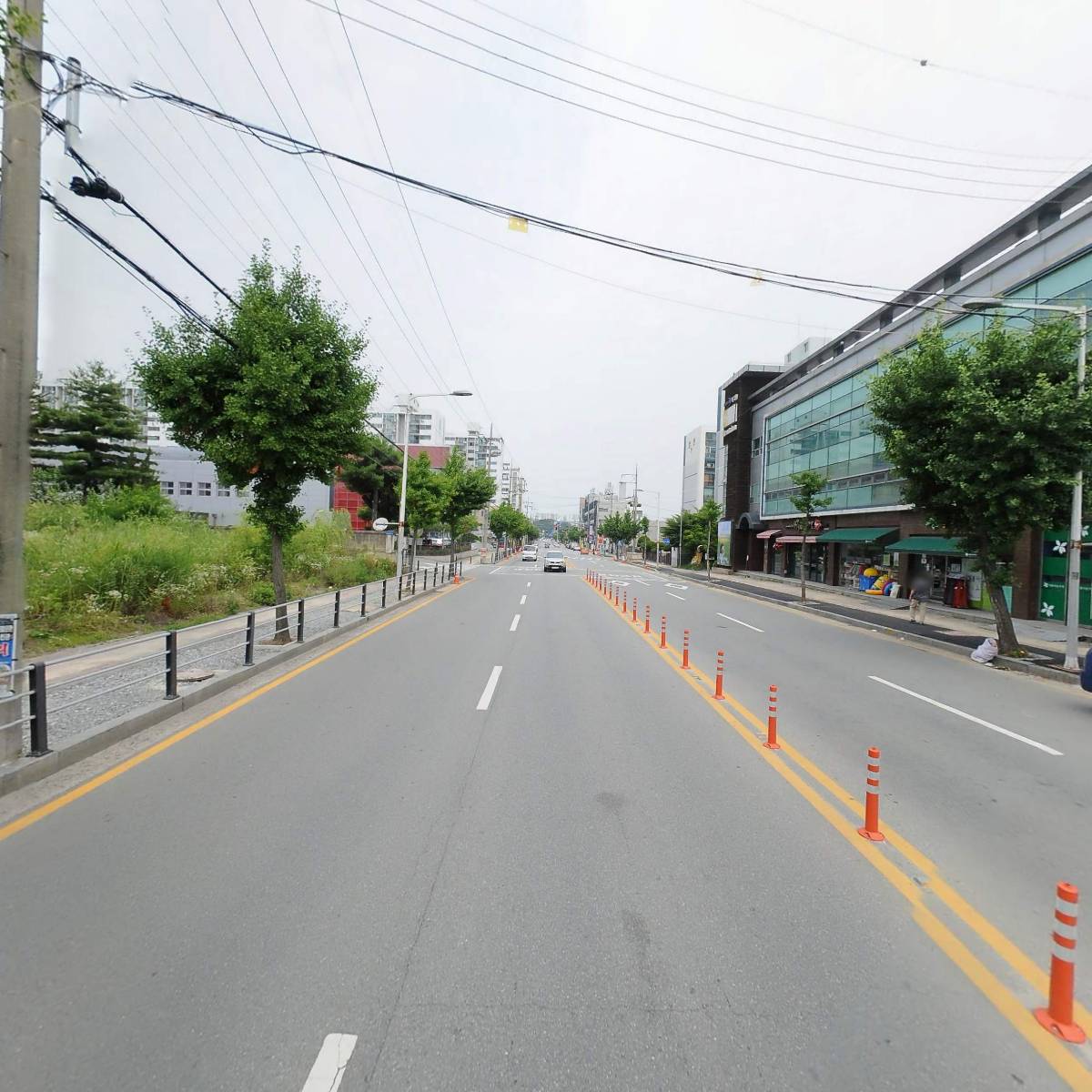 금강산흑염소삼계탕_2