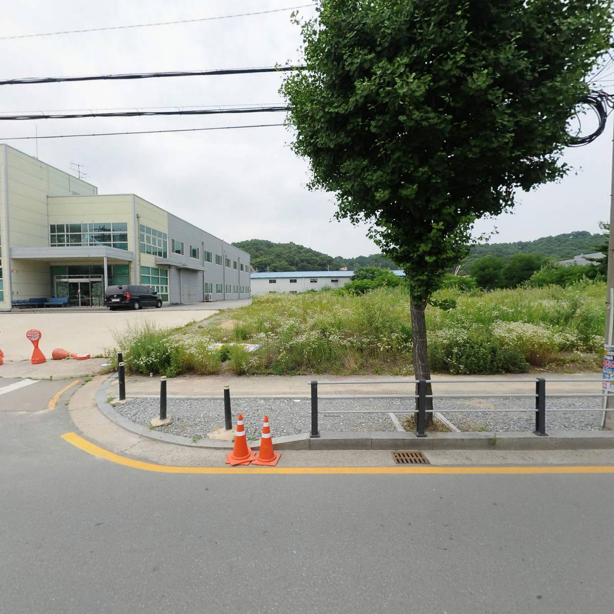 금강산흑염소삼계탕