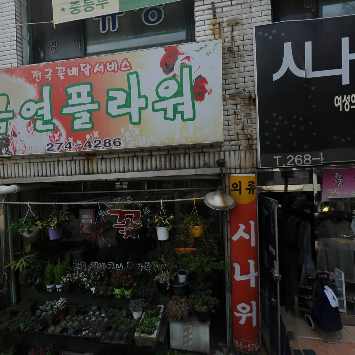 시골즉석두부